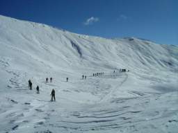 081124_A_siamo in 56.JPG